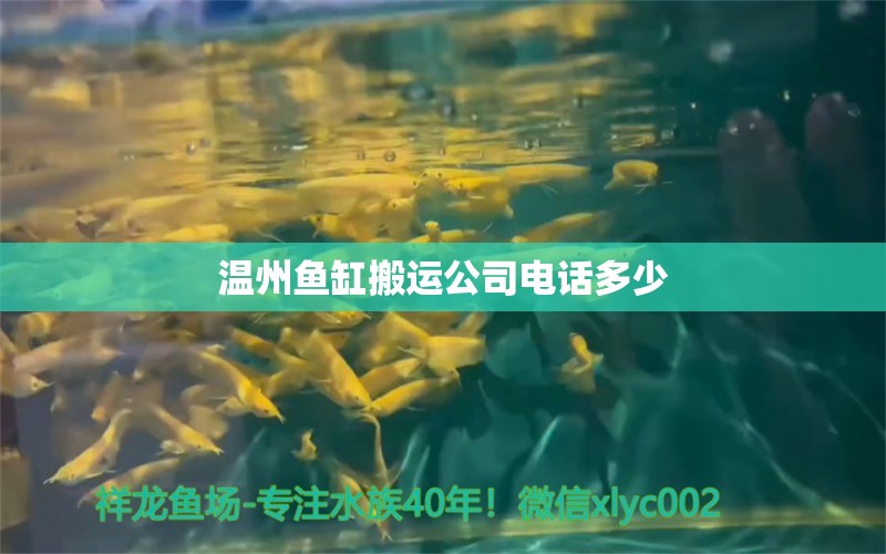 温州鱼缸搬运公司电话多少