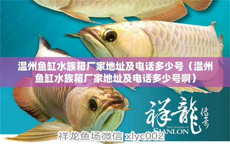 温州鱼缸水族箱厂家地址及电话多少号（温州鱼缸水族箱厂家地址及电话多少号啊）