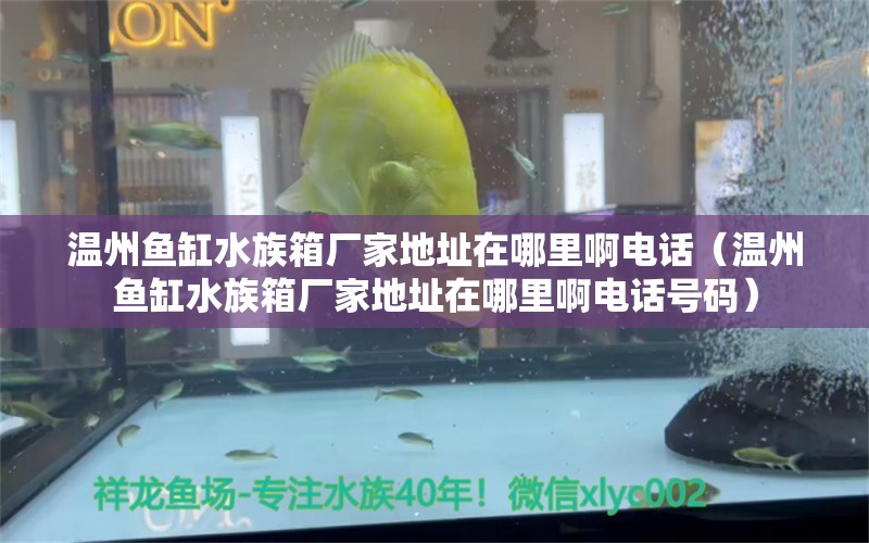 温州鱼缸水族箱厂家地址在哪里啊电话（温州鱼缸水族箱厂家地址在哪里啊电话号码）