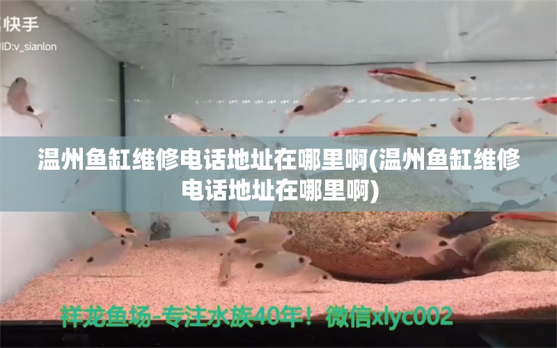 温州鱼缸维修电话地址在哪里啊(温州鱼缸维修电话地址在哪里啊)