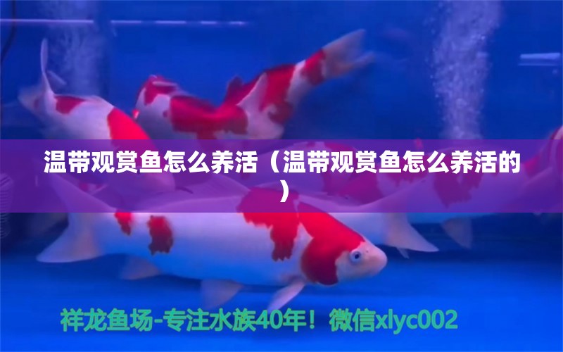 温带观赏鱼怎么养活（温带观赏鱼怎么养活的） 祥龙水族医院