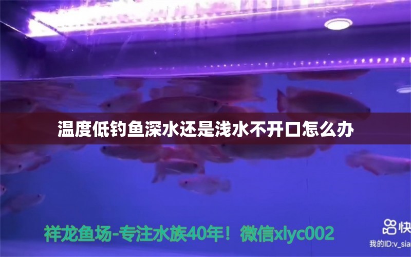 温度低钓鱼深水还是浅水不开口怎么办 赤荔凤冠鱼 第2张