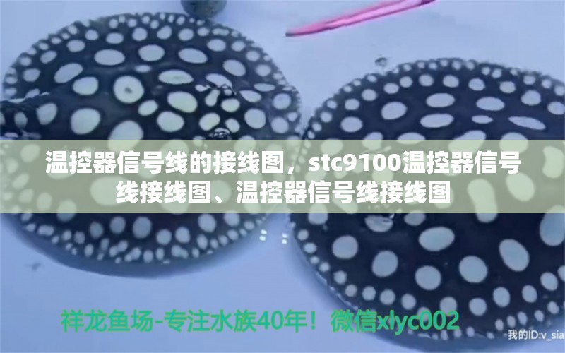 温控器信号线的接线图，stc9100温控器信号线接线图、温控器信号线接线图