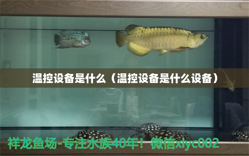 温控设备是什么（温控设备是什么设备）