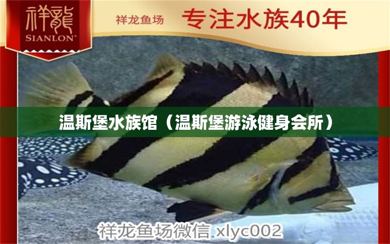 温斯堡水族馆（温斯堡游泳健身会所）