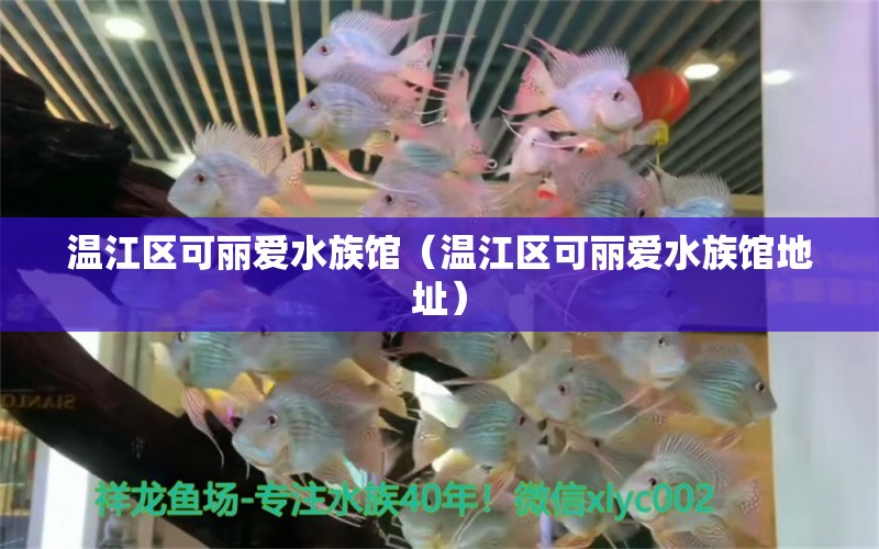 温江区可丽爱水族馆（温江区可丽爱水族馆地址）