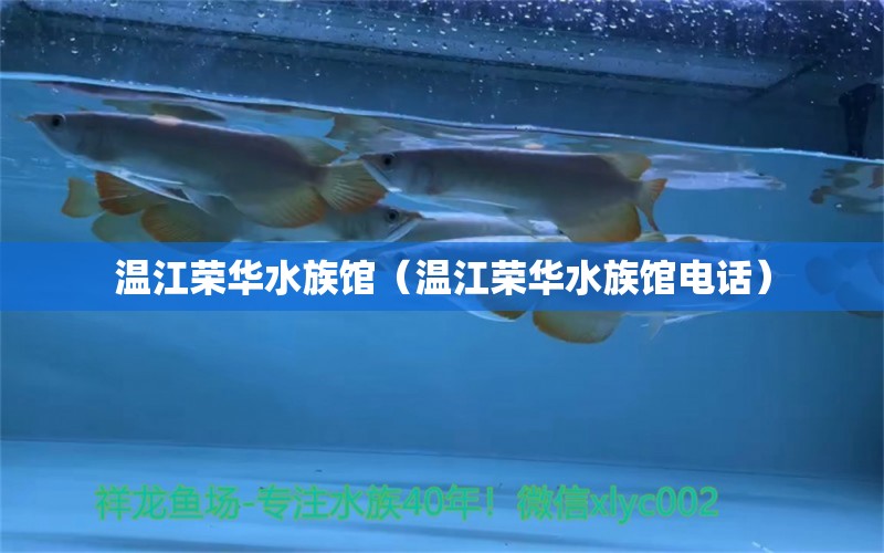 温江荣华水族馆（温江荣华水族馆电话）