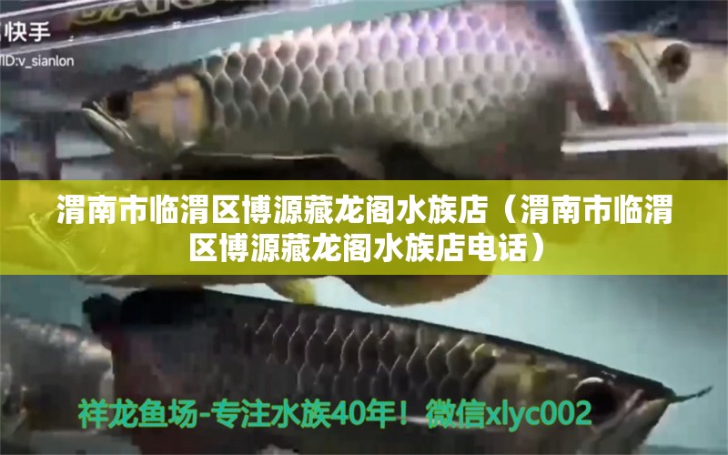 渭南市临渭区博源藏龙阁水族店（渭南市临渭区博源藏龙阁水族店电话）