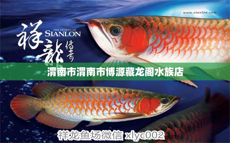 渭南市渭南市博源藏龙阁水族店 全国水族馆企业名录