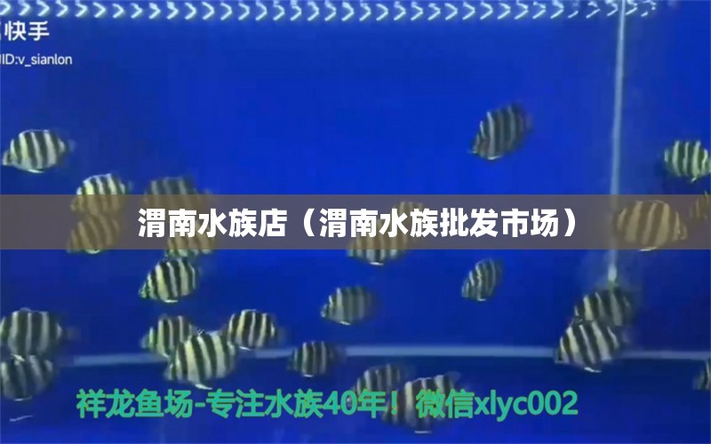 渭南水族店（渭南水族批发市场）