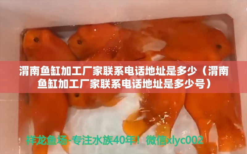 渭南鱼缸加工厂家联系电话地址是多少（渭南鱼缸加工厂家联系电话地址是多少号）