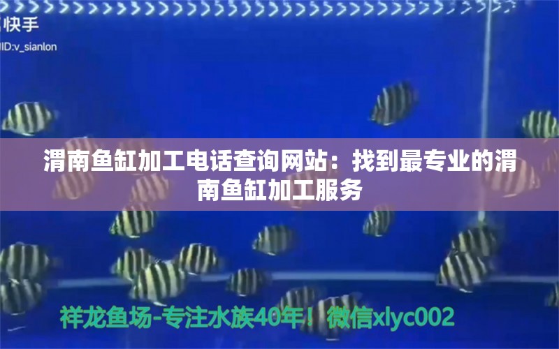 渭南鱼缸加工电话查询网站：找到最专业的渭南鱼缸加工服务