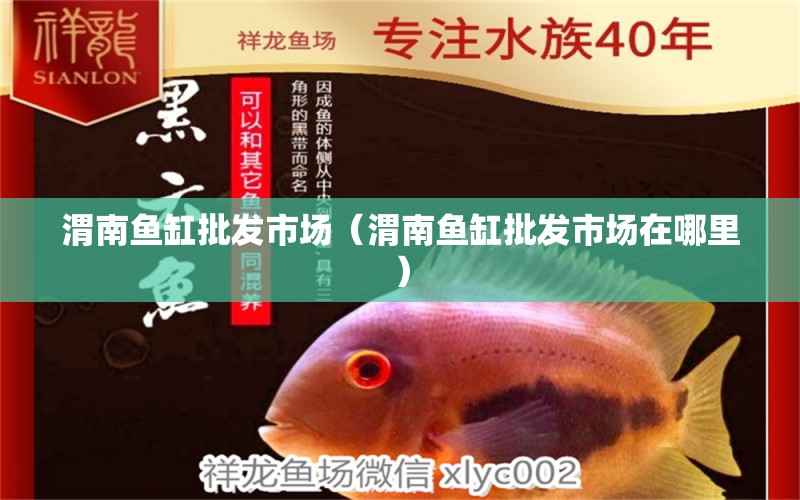 渭南鱼缸批发市场（渭南鱼缸批发市场在哪里） 观赏鱼水族批发市场