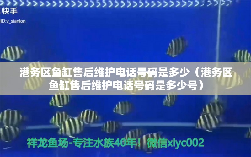 港务区鱼缸售后维护电话号码是多少（港务区鱼缸售后维护电话号码是多少号）