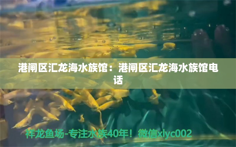 港闸区汇龙海水族馆：港闸区汇龙海水族馆电话