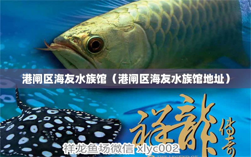 港闸区海友水族馆（港闸区海友水族馆地址）