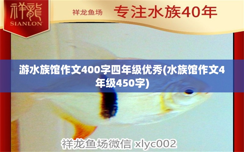 游水族馆作文400字四年级优秀(水族馆作文4年级450字) 广州龙鱼批发市场