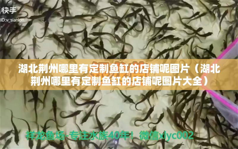 湖北荆州哪里有定制鱼缸的店铺呢图片（湖北荆州哪里有定制鱼缸的店铺呢图片大全） 观赏鱼市场（混养鱼）