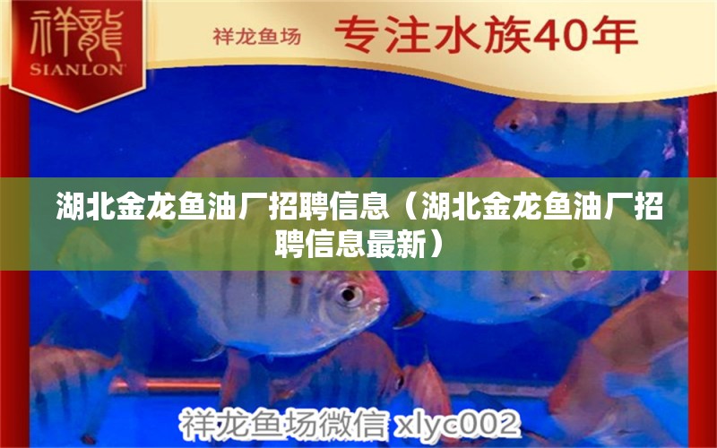 湖北金龙鱼油厂招聘信息（湖北金龙鱼油厂招聘信息最新） 祥龙龙鱼鱼粮