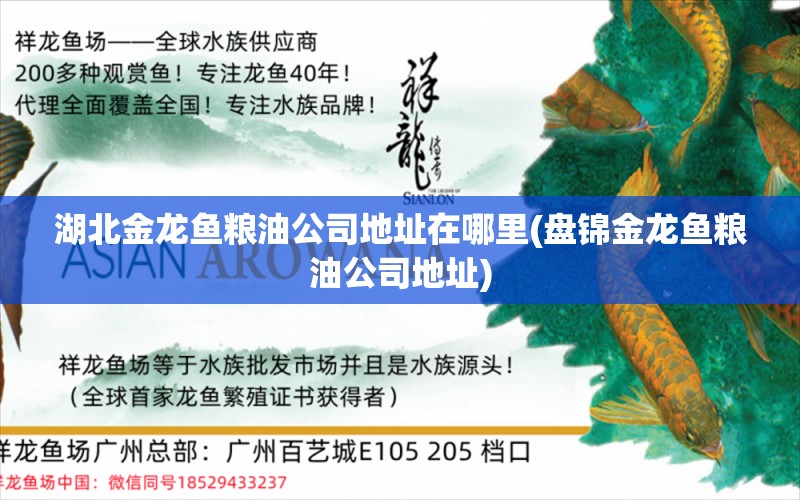 湖北金龙鱼粮油公司地址在哪里(盘锦金龙鱼粮油公司地址) 金龙鱼粮