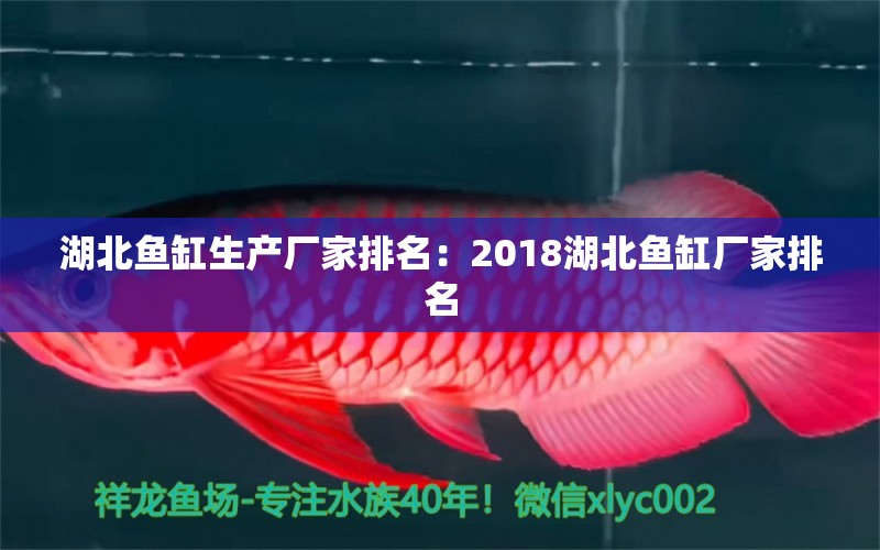 湖北鱼缸生产厂家排名：2018湖北鱼缸厂家排名