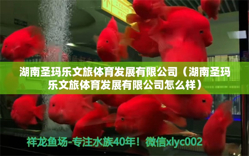 湖南圣玛乐文旅体育发展有限公司（湖南圣玛乐文旅体育发展有限公司怎么样）