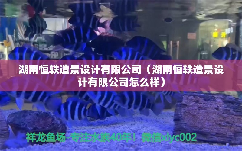 湖南恒轶造景设计有限公司（湖南恒轶造景设计有限公司怎么样）