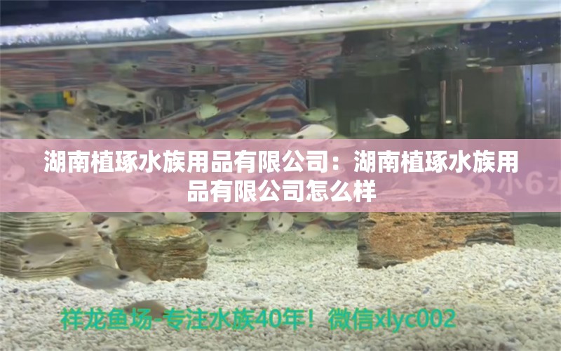 湖南植琢水族用品有限公司：湖南植琢水族用品有限公司怎么样 水族用品