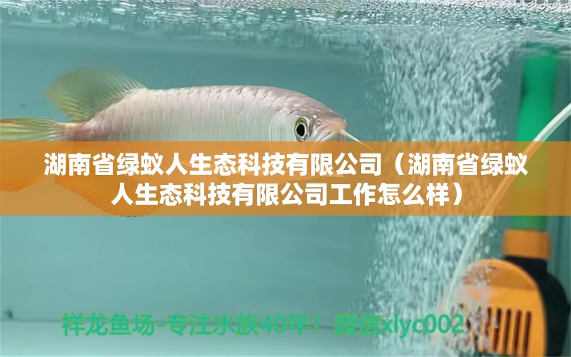 湖南省绿蚁人生态科技有限公司（湖南省绿蚁人生态科技有限公司工作怎么样）