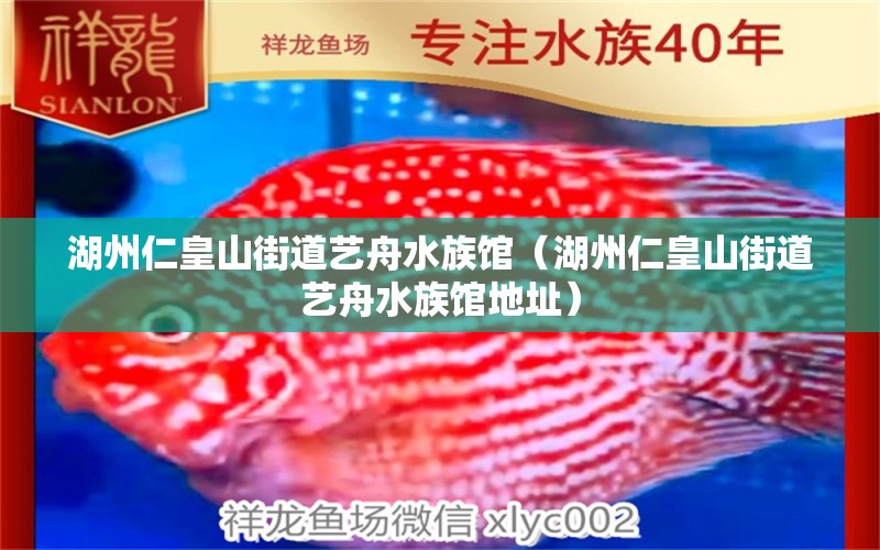 湖州仁皇山街道艺舟水族馆（湖州仁皇山街道艺舟水族馆地址） 全国水族馆企业名录