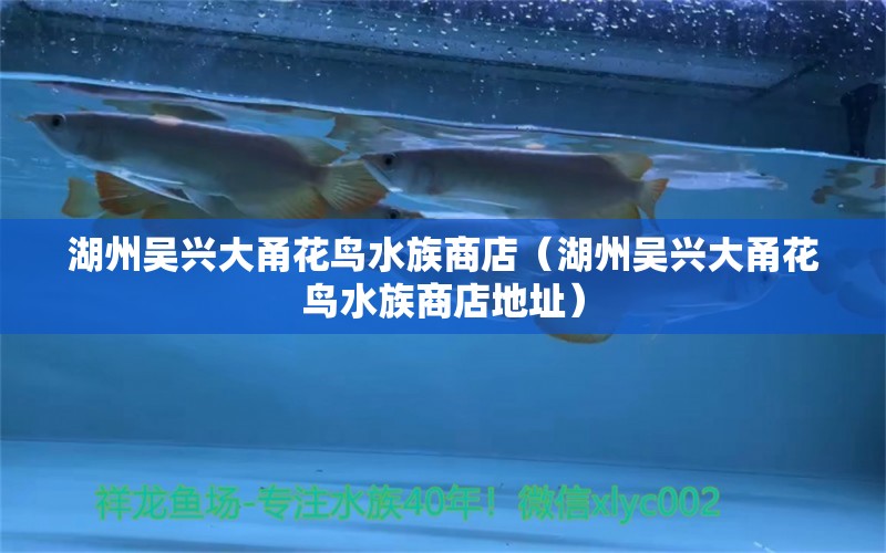 湖州吴兴大甬花鸟水族商店（湖州吴兴大甬花鸟水族商店地址）