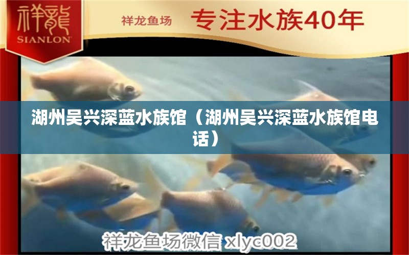 湖州吴兴深蓝水族馆（湖州吴兴深蓝水族馆电话） 全国水族馆企业名录