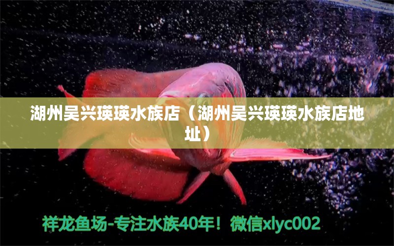 湖州吴兴瑛瑛水族店（湖州吴兴瑛瑛水族店地址）