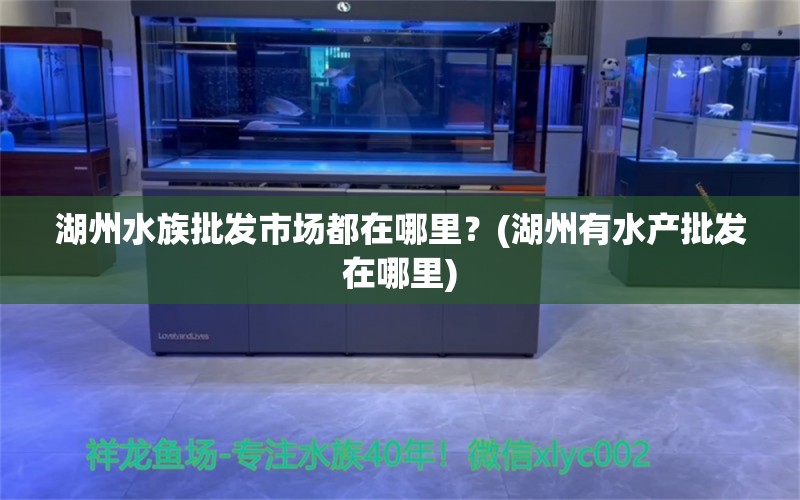 湖州水族批发市场都在哪里？(湖州有水产批发在哪里)