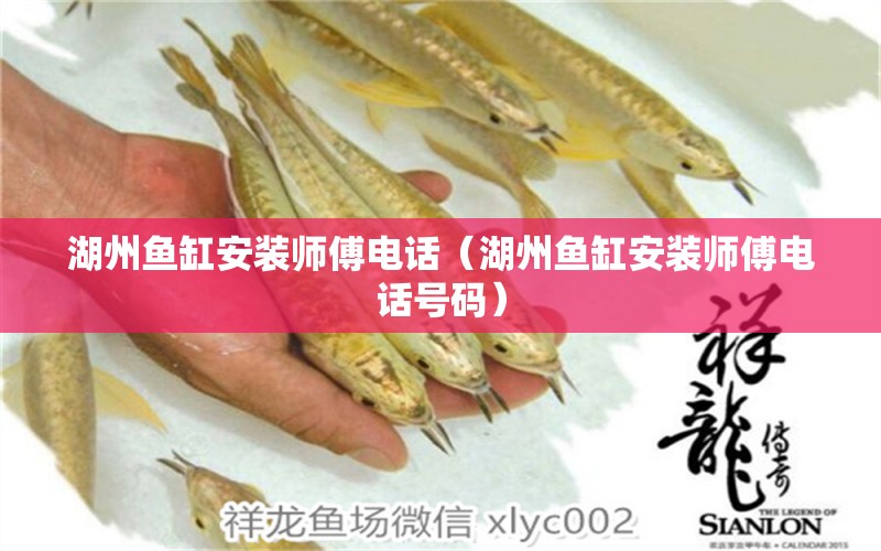 湖州鱼缸安装师傅电话（湖州鱼缸安装师傅电话号码） 巴西亚鱼苗