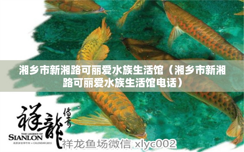 湘乡市新湘路可丽爱水族生活馆（湘乡市新湘路可丽爱水族生活馆电话） 全国水族馆企业名录