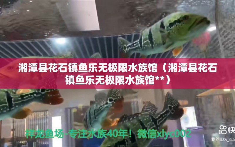 湘潭县花石镇鱼乐无极限水族馆（湘潭县花石镇鱼乐无极限水族馆**）