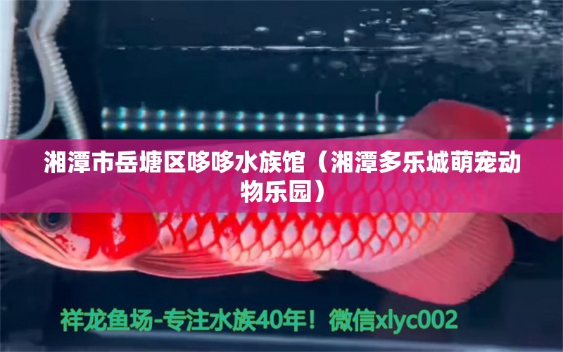 湘潭市岳塘区哆哆水族馆（湘潭多乐城萌宠动物乐园）