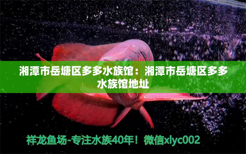 湘潭市岳塘区多多水族馆：湘潭市岳塘区多多水族馆地址