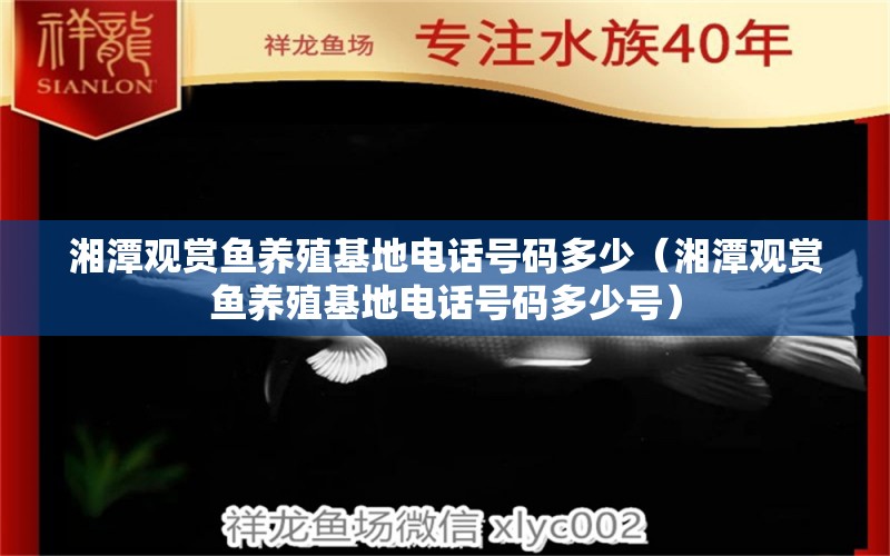 湘潭观赏鱼养殖基地电话号码多少（湘潭观赏鱼养殖基地电话号码多少号） 祥龙水族医院