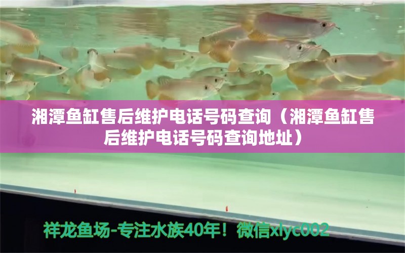 湘潭鱼缸售后维护电话号码查询（湘潭鱼缸售后维护电话号码查询地址）