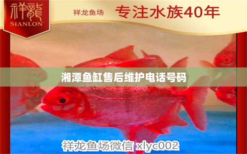 湘潭鱼缸售后维护电话号码 其他品牌鱼缸