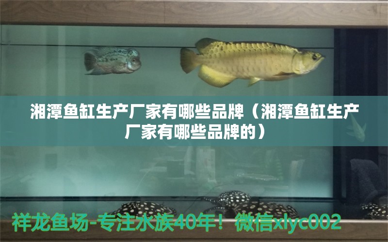 湘潭鱼缸生产厂家有哪些品牌（湘潭鱼缸生产厂家有哪些品牌的） 观赏鱼市场（混养鱼）