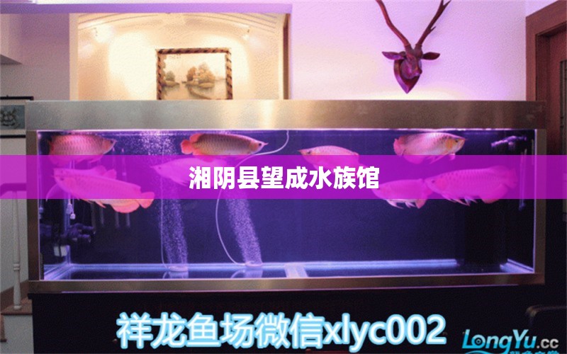 湘阴县望成水族馆 全国水族馆企业名录