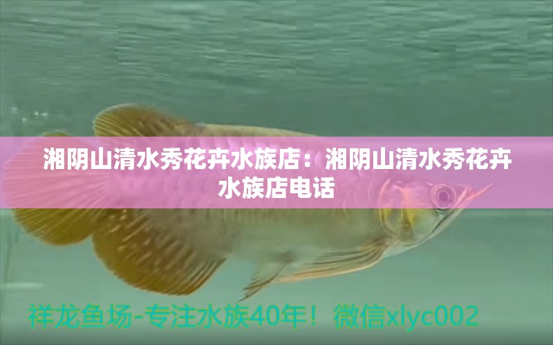 湘阴山清水秀花卉水族店：湘阴山清水秀花卉水族店电话 全国水族馆企业名录