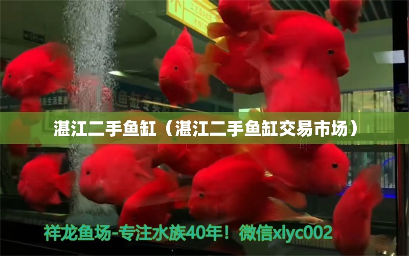 湛江二手鱼缸（湛江二手鱼缸交易市场）