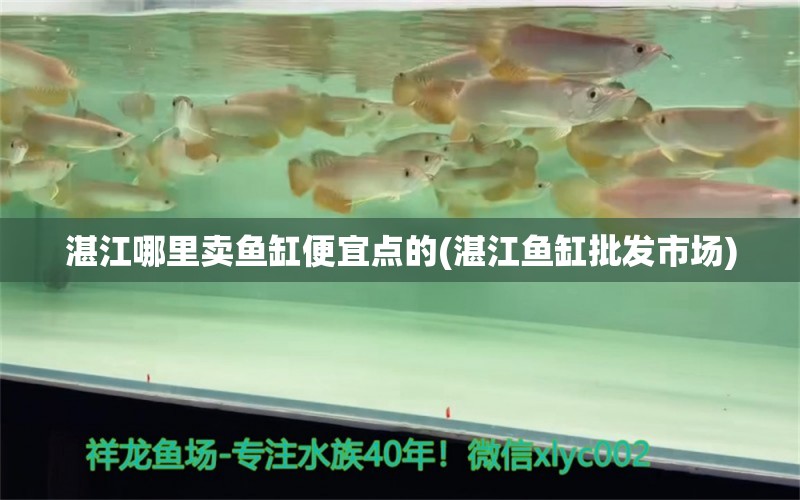 湛江哪里卖鱼缸便宜点的(湛江鱼缸批发市场)