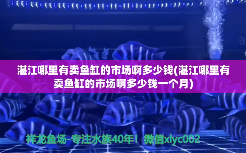 湛江哪里有卖鱼缸的市场啊多少钱(湛江哪里有卖鱼缸的市场啊多少钱一个月)