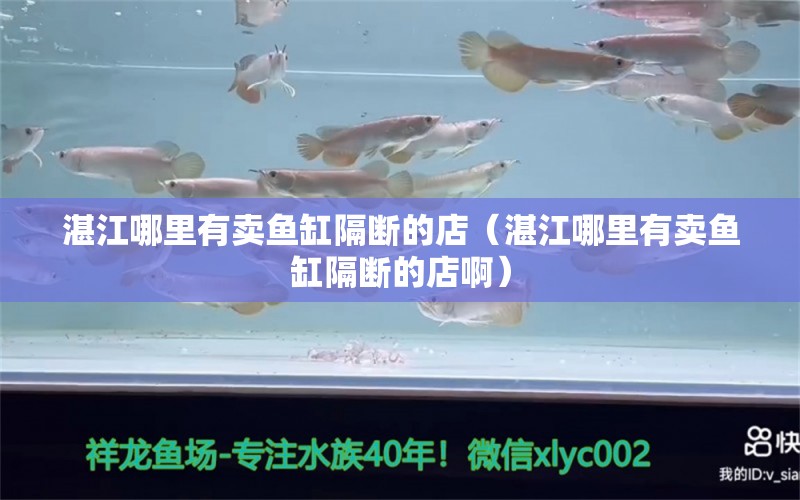 湛江哪里有卖鱼缸隔断的店（湛江哪里有卖鱼缸隔断的店啊） 广州观赏鱼批发市场