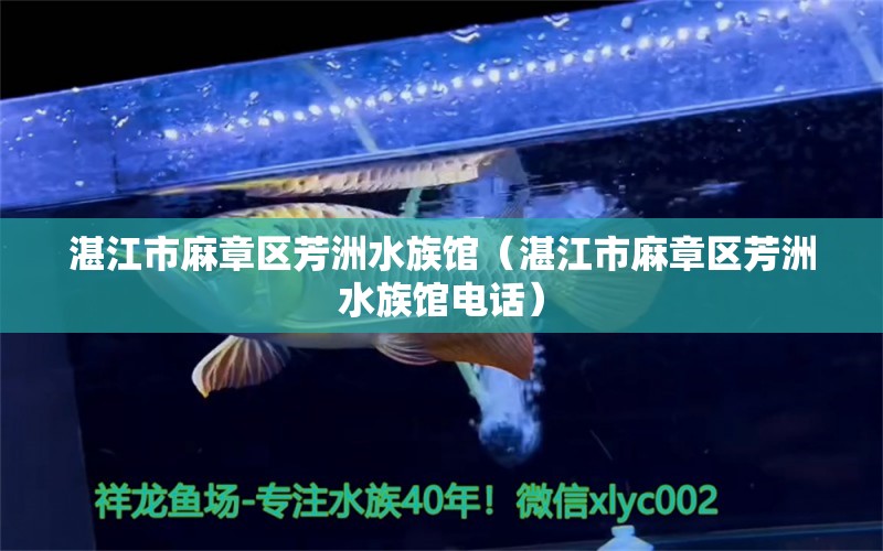 湛江市麻章区芳洲水族馆（湛江市麻章区芳洲水族馆电话） 全国水族馆企业名录